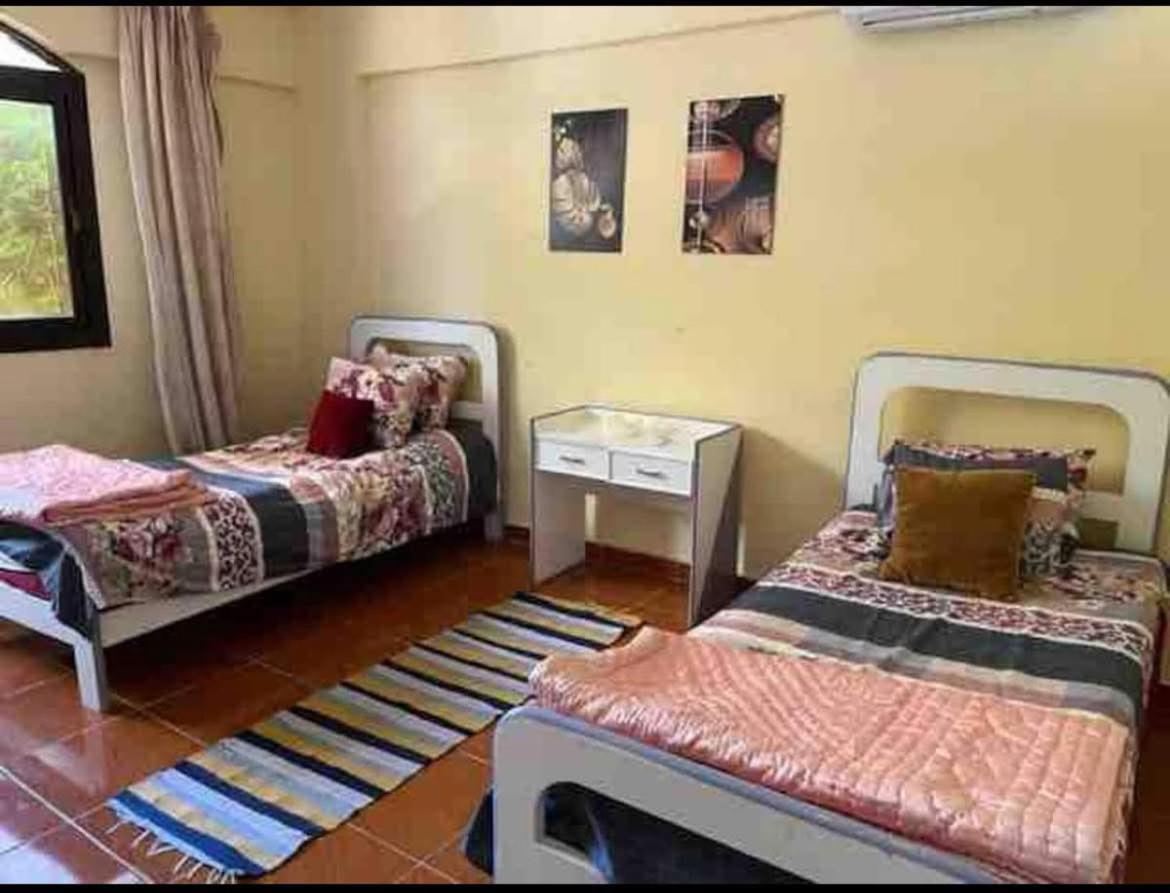 4 Bedroom Superior Family Villa With Private Pool, 5 Min From Beach Abu Talat 亚历山大港 外观 照片